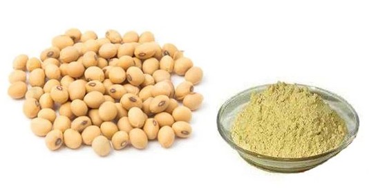 Phosphatidylserine